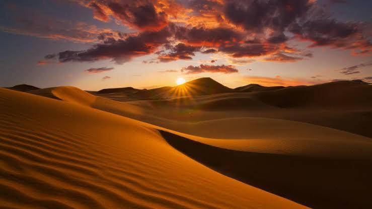 Golden Sandstone Hotel Desert Safari Camp 자이살메르 외부 사진