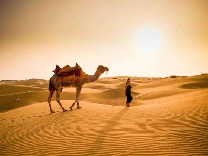 Golden Sandstone Hotel Desert Safari Camp 자이살메르 외부 사진